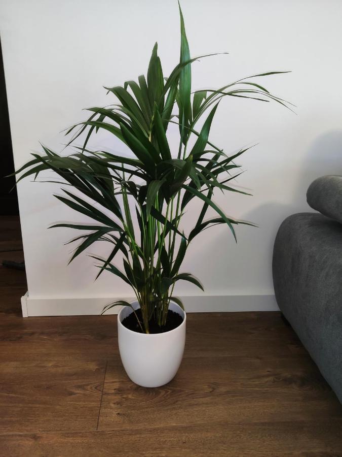 Apartament Milionova Apartment Lodź Bagian luar foto