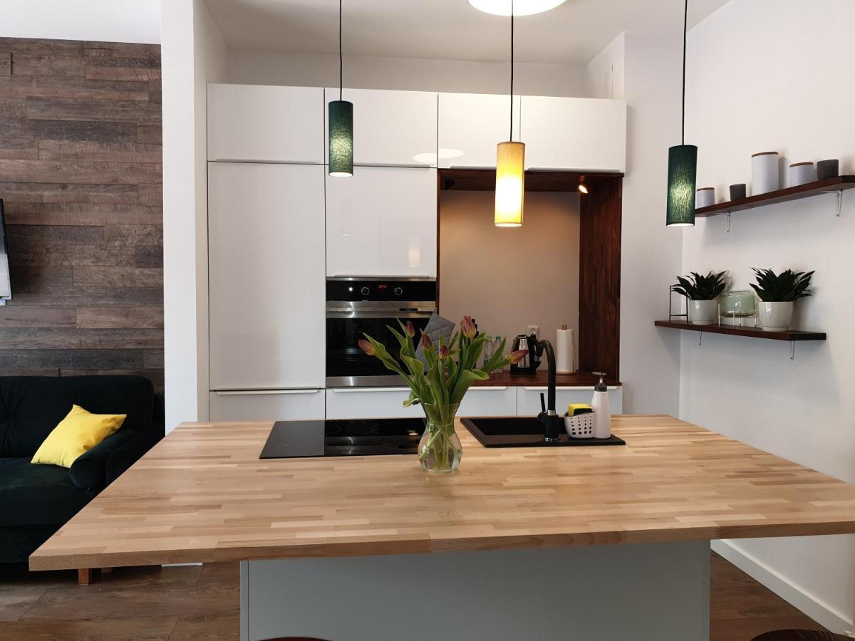 Apartament Milionova Apartment Lodź Bagian luar foto